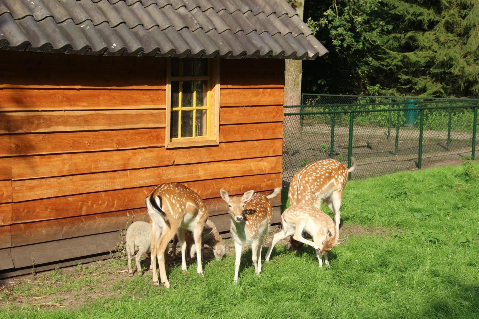 Molecaten Park De Leemkule Hattem Exterior photo