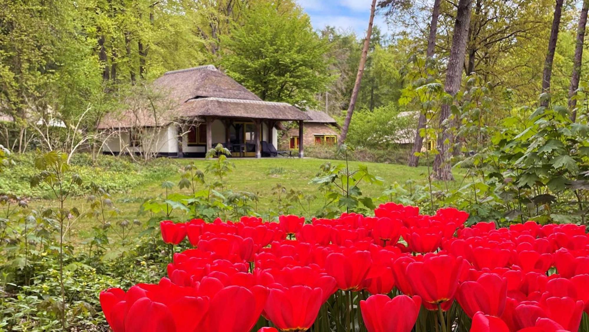 Molecaten Park De Leemkule Hattem Room photo