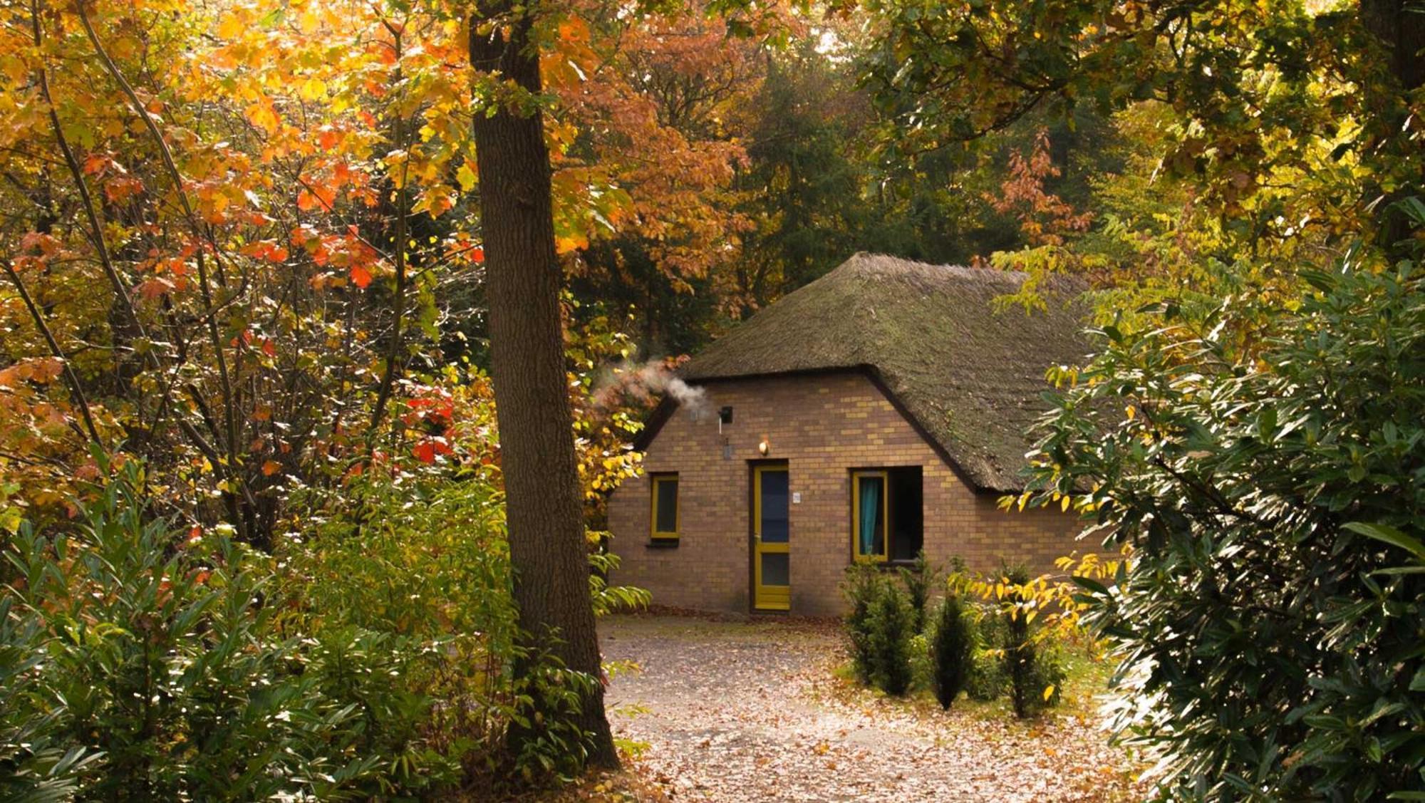 Molecaten Park De Leemkule Hattem Room photo