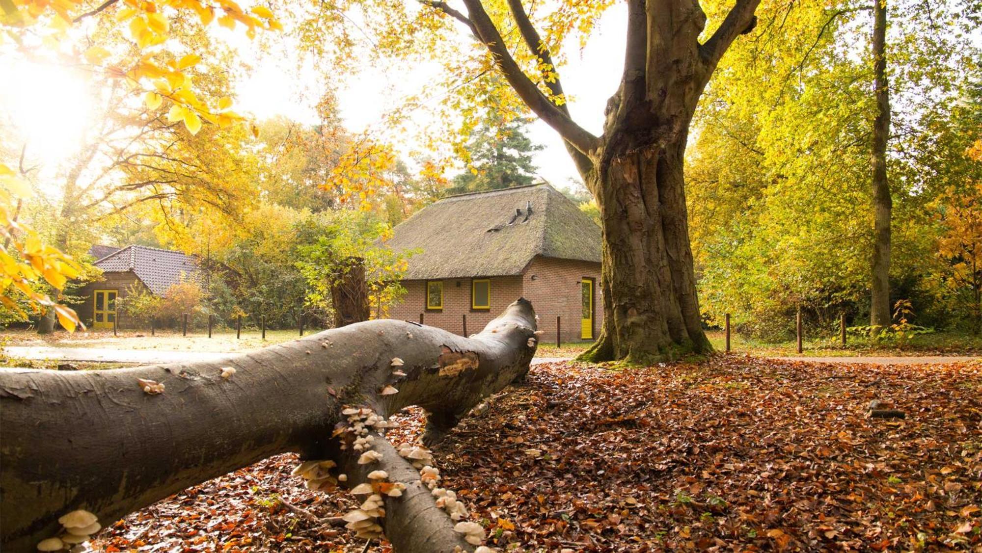 Molecaten Park De Leemkule Hattem Room photo