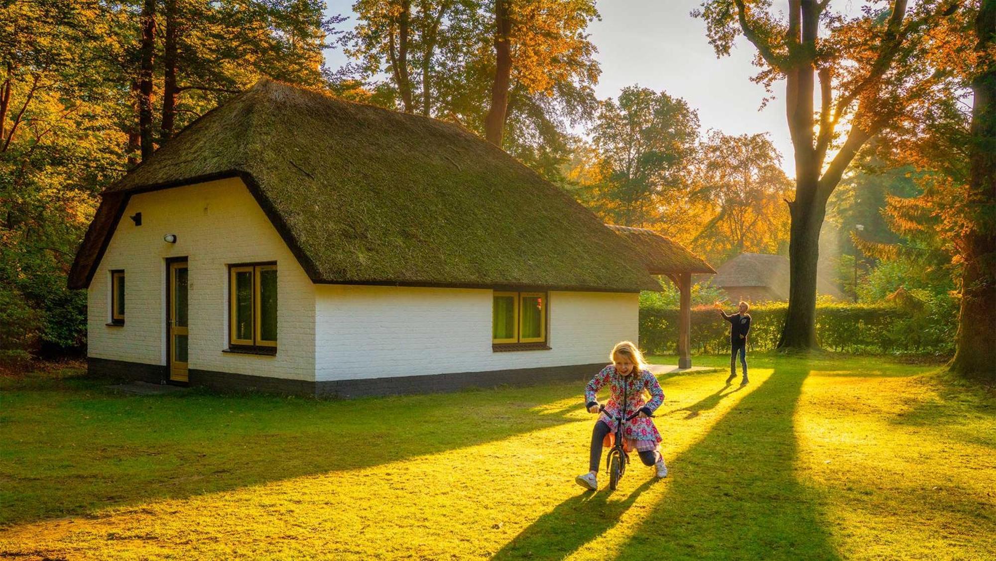 Molecaten Park De Leemkule Hattem Room photo