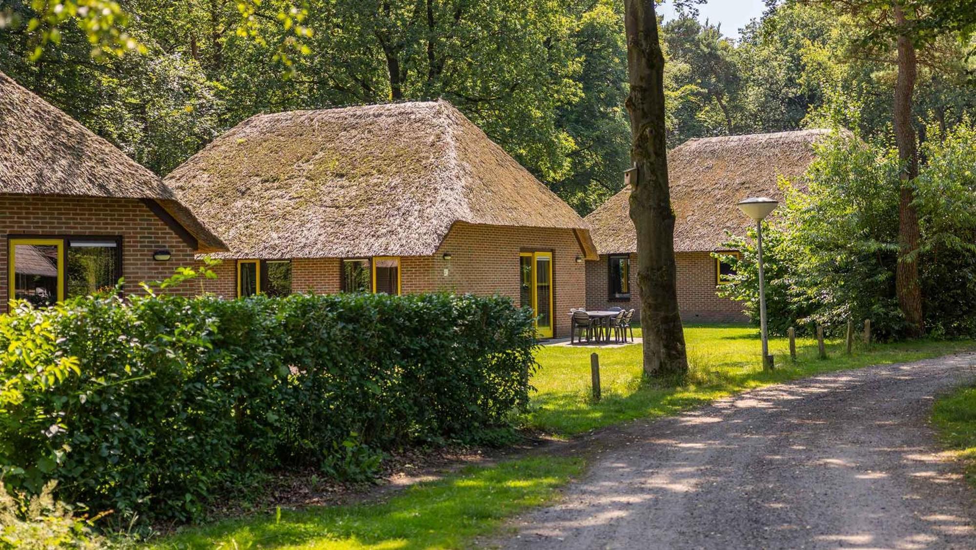 Molecaten Park De Leemkule Hattem Exterior photo